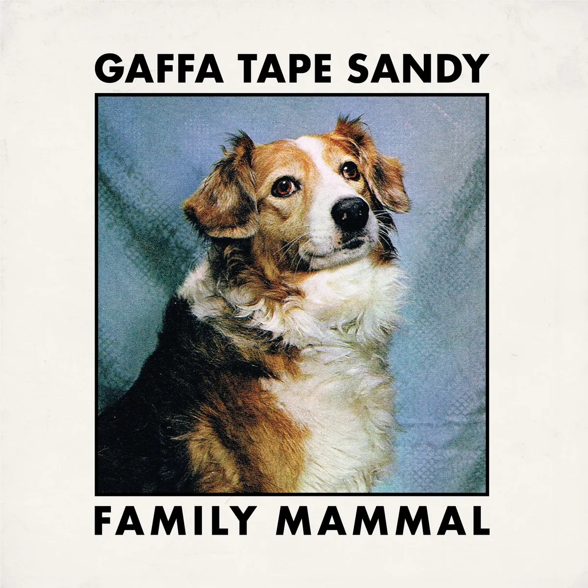 Family Mammal, cover
